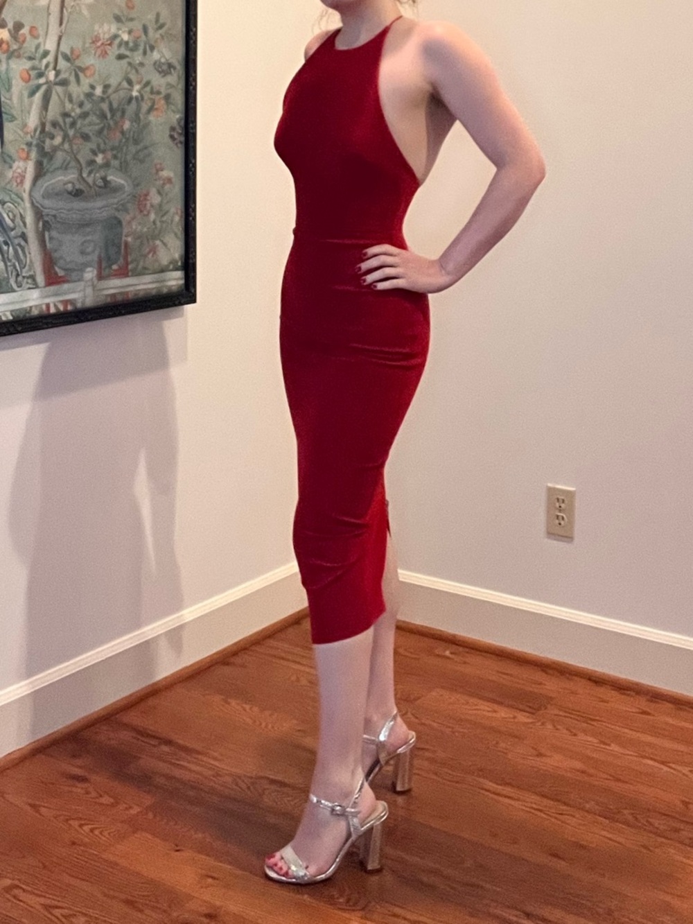 Alex Perry Red Dress - Picture 3 of 16